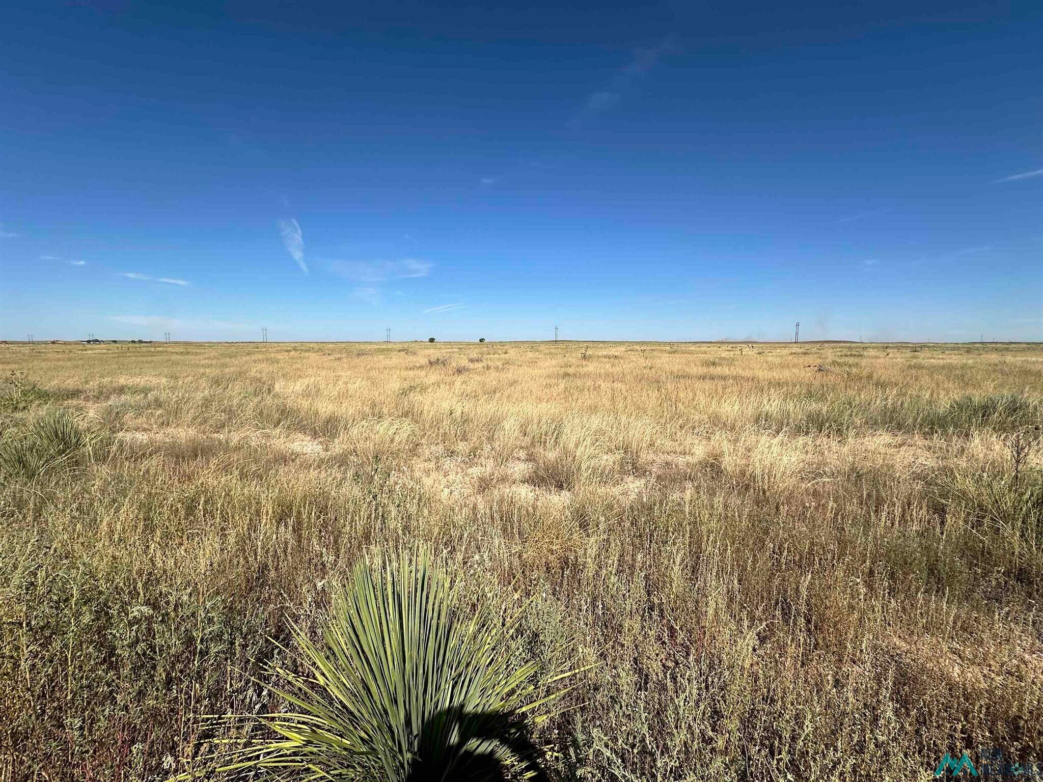 4272 US Hwy 70 Highway, Portales, NM for Sale