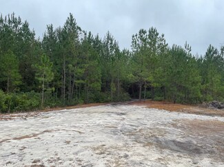 Pembroke, GA Residential Land - 193 Osteen Rd Pembroke, GA Residential Land - 193 Osteen Rd