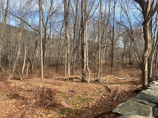 Brewster Village, NY Commercial Land - 3918 Danbury