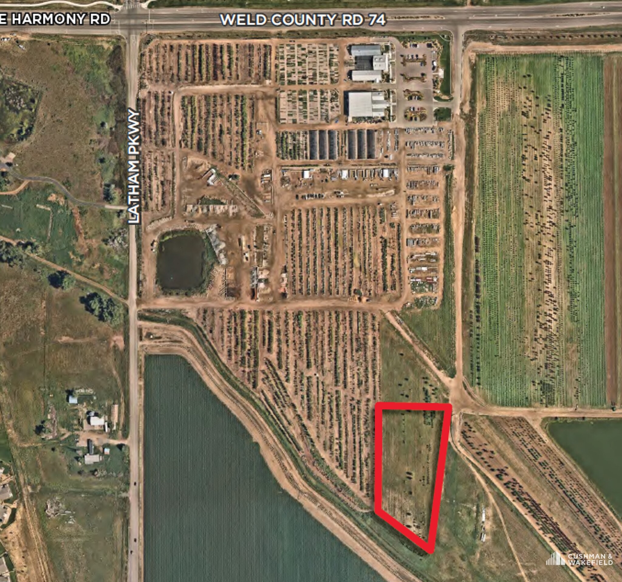 , Windsor, CO for Rent