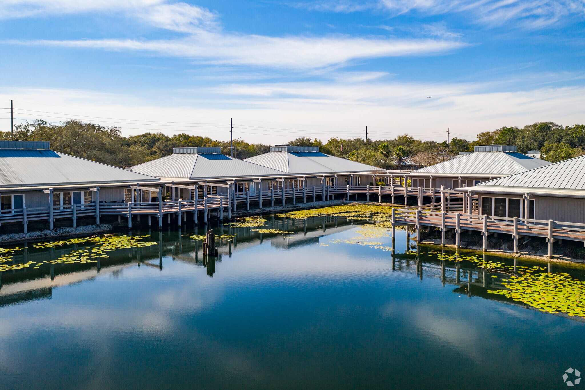 2901 W Busch Blvd, Tampa, FL for Rent