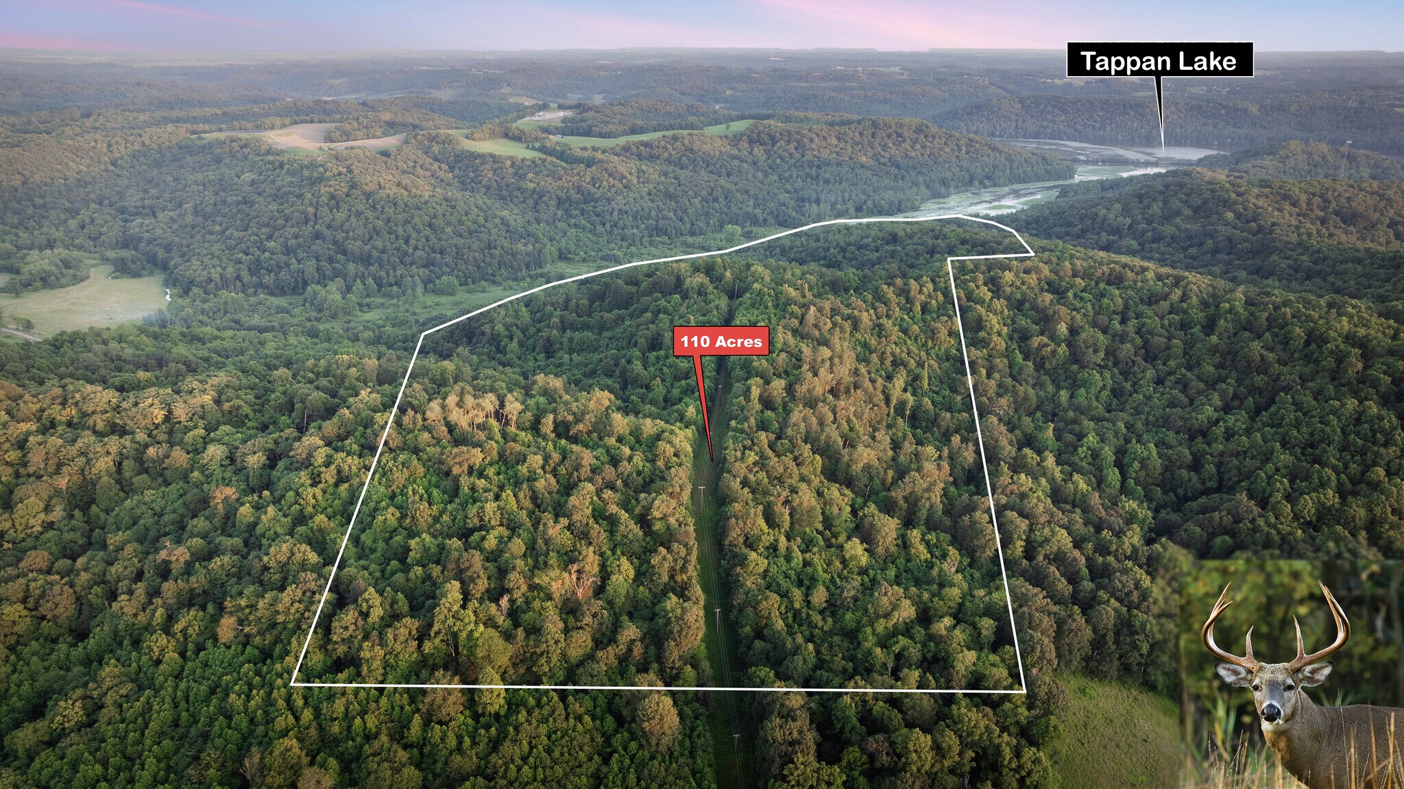 36900 Lower Clearfork Rd, Cadiz, OH for Sale