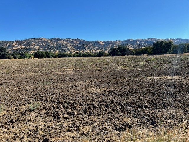 7090 CA-16, Guinda, CA for Sale