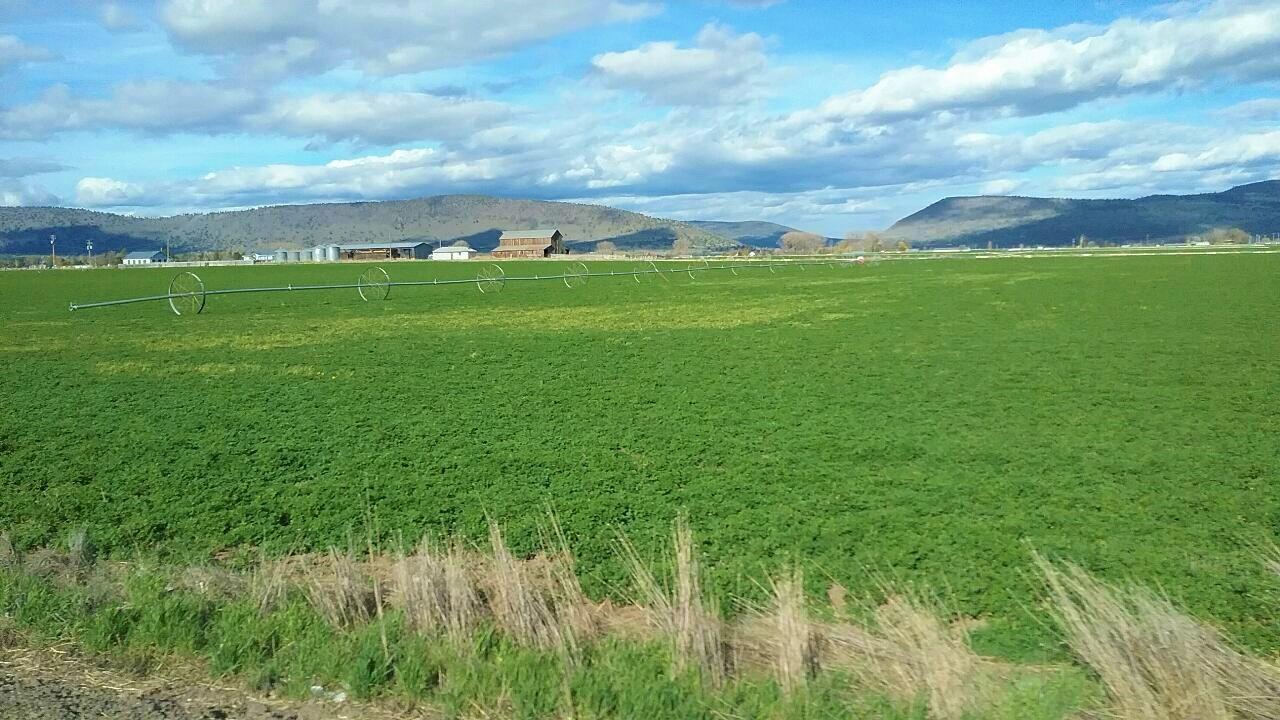 295 Co Rd 149, Lookout, CA for Sale