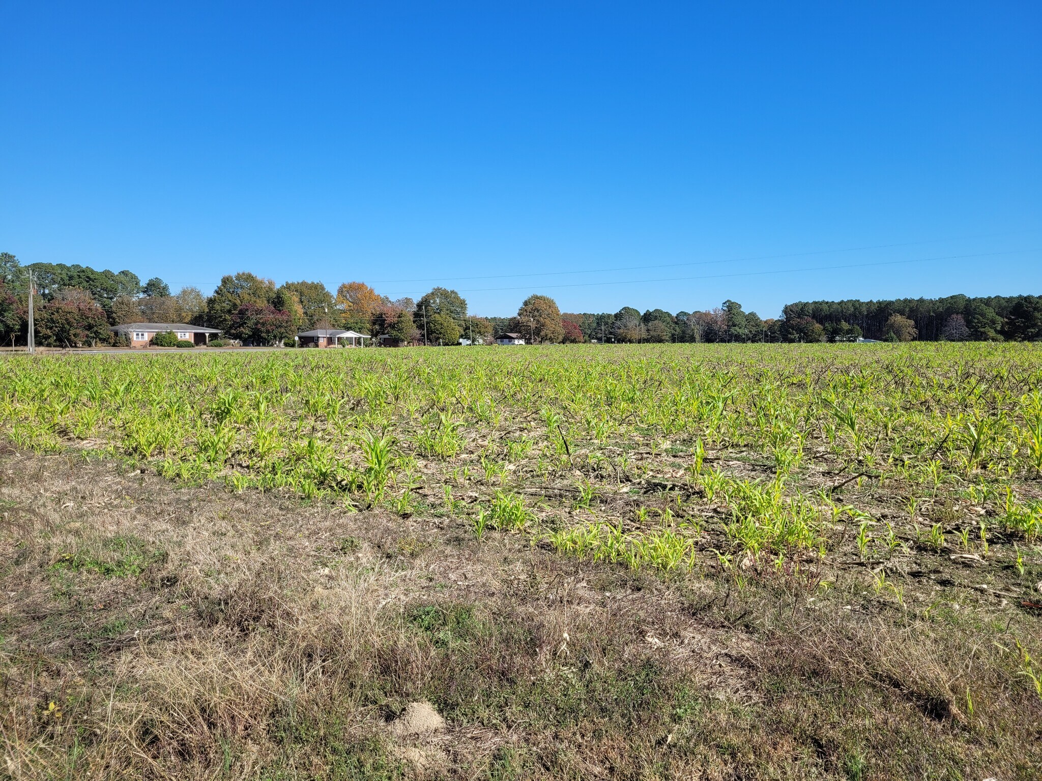 2614 Buffalo Rd, Smithfield, NC for Sale