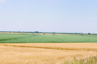 Isleton, CA Agricultural - 16637 Tyler Island Rd