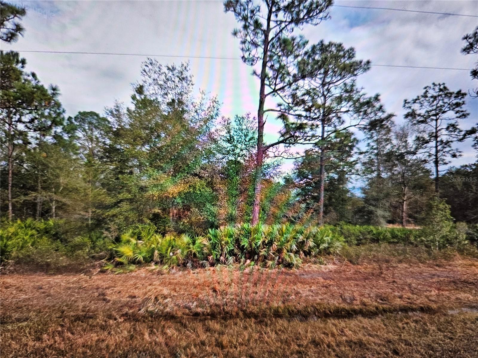 0 Creager Ave, Interlachen, FL for Sale