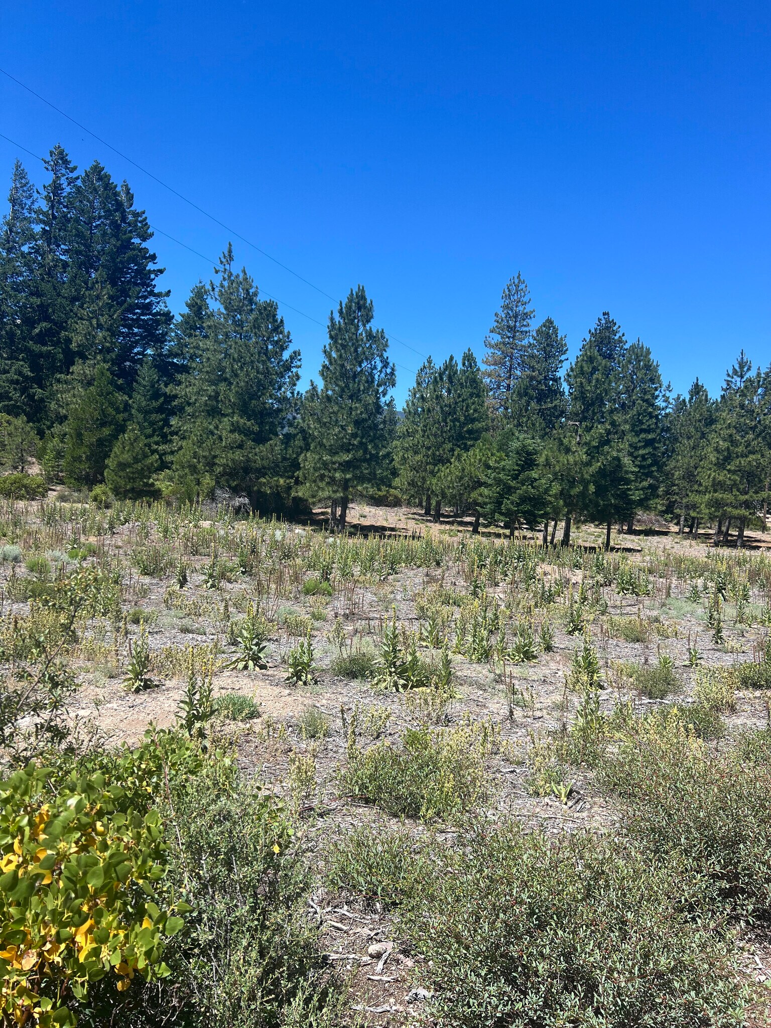 00 Truck Village Drive, Mount Shasta, CA for Sale