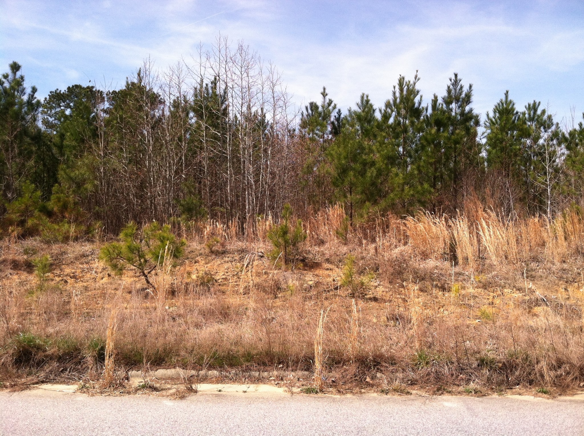 1376 Ruin Creek Rd, Henderson, NC for Sale