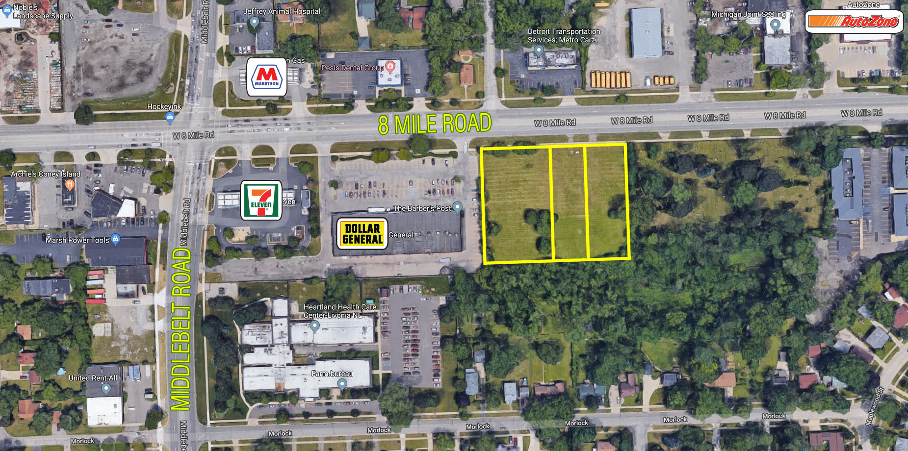 29005-29023 W 8 Mile Rd, Livonia, MI for Sale