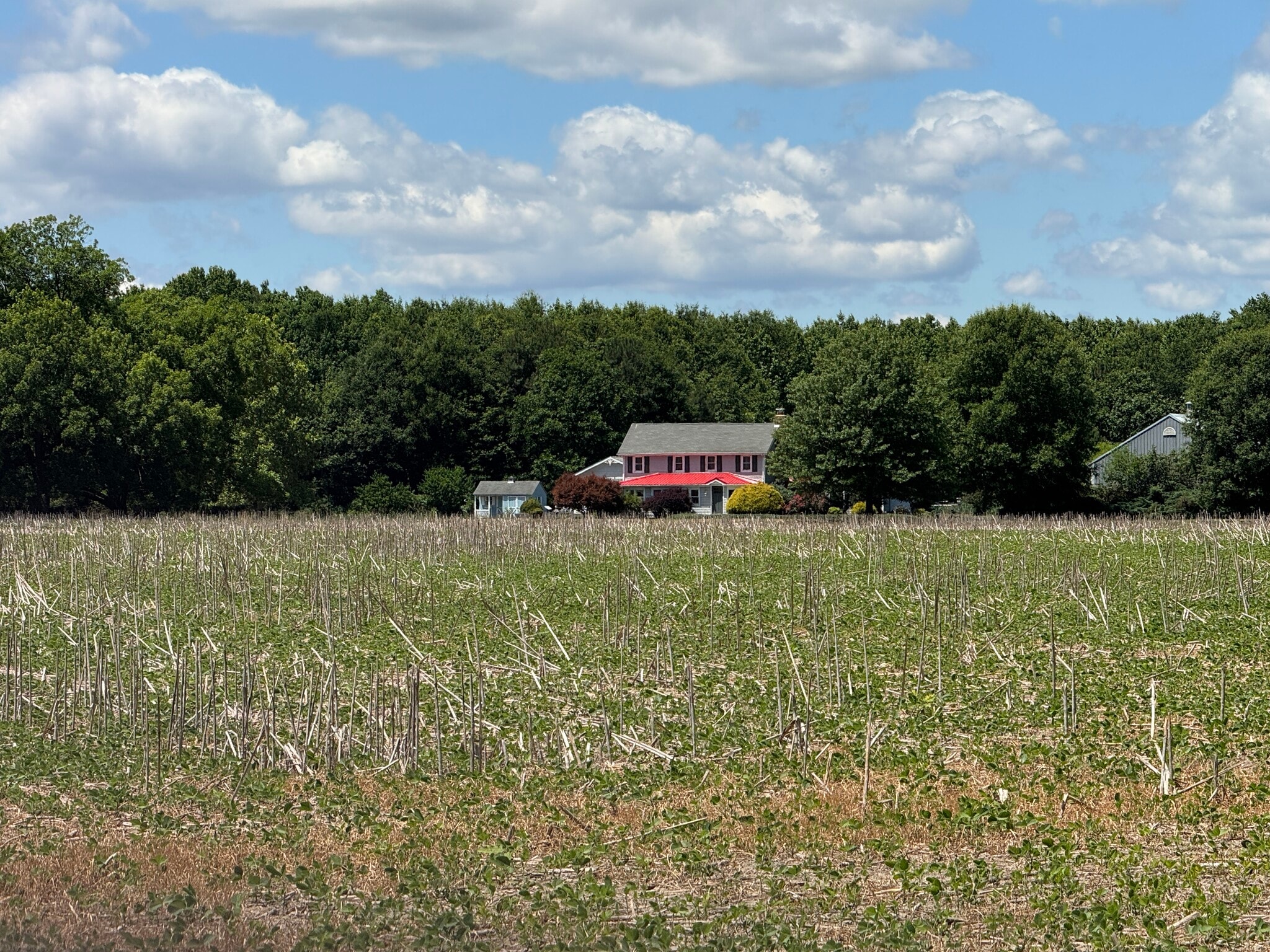 953 White Marsh Branch Rd, Harrington, DE for Sale