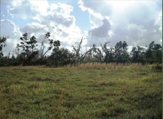 Alturas, FL Agricultural - 0 Ranch Lake Lane