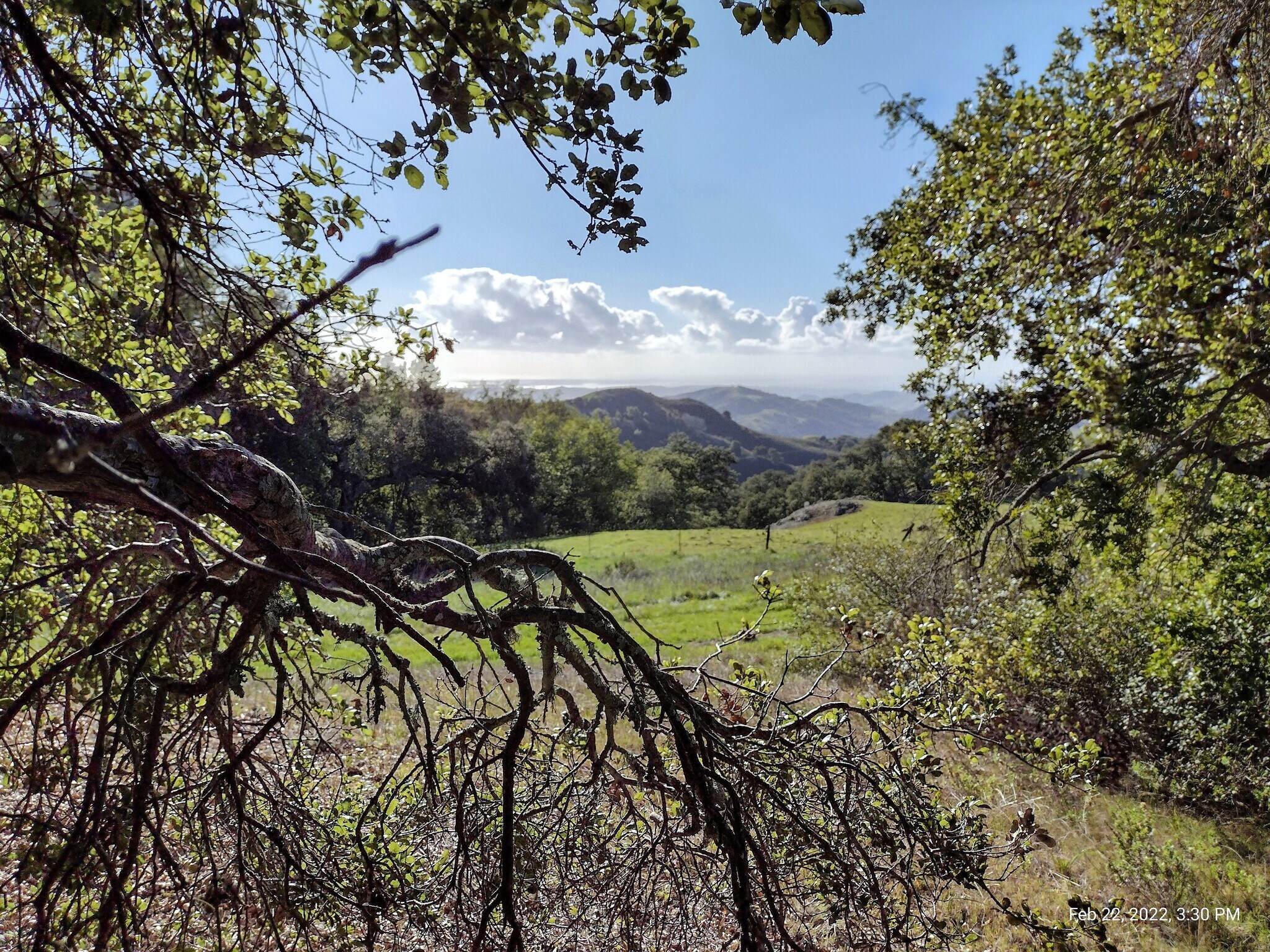 9805 Santa Rosa Creek Rd, Templeton, CA for Sale