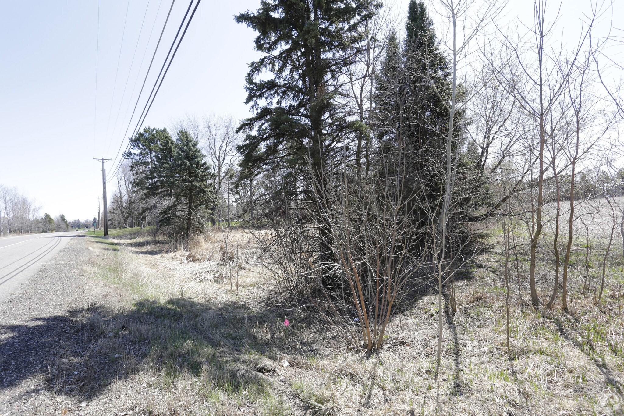 4971 Scandia Trl, Forest Lake, MN for Rent