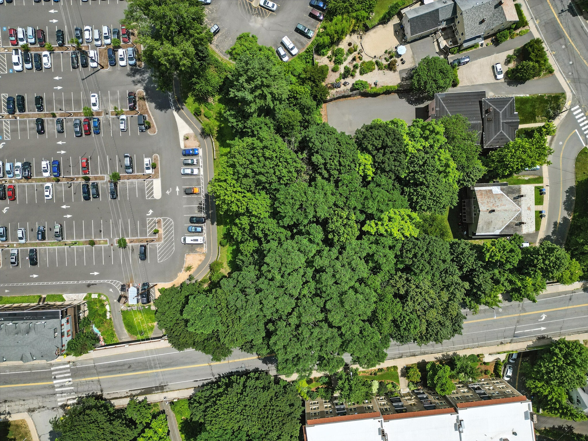 3 Clark Ave, Northampton, MA for Sale