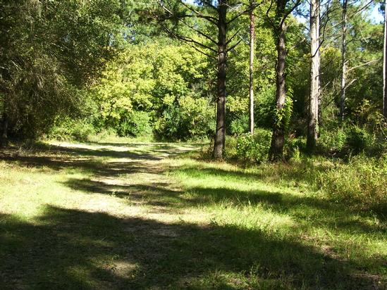 Monticello Rd, Hazlehurst, MS for Sale