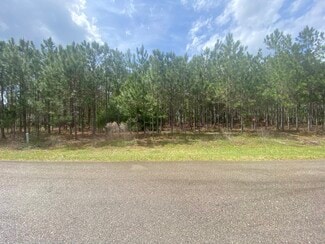 Ocala, FL Commercial Land - Aspen Ave.
