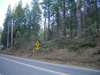 1359 Highway 4, Arnold, CA for Sale