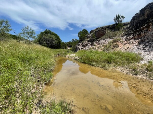 221 W Rolling Oaks Dr, Goldthwaite, TX for Sale