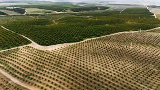 Bakersfield, CA Agricultural Land - 14265 Highway 65