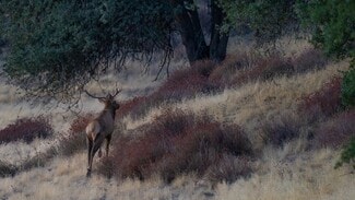 Coalinga, CA Residential - 47069 Crump Ln Coalinga, CA Residential - 47069 Crump Ln