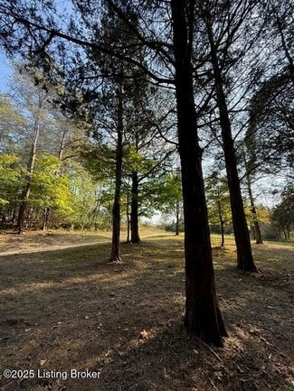 Louisville, KY Residential - 11407 Bardstown Creek Rd