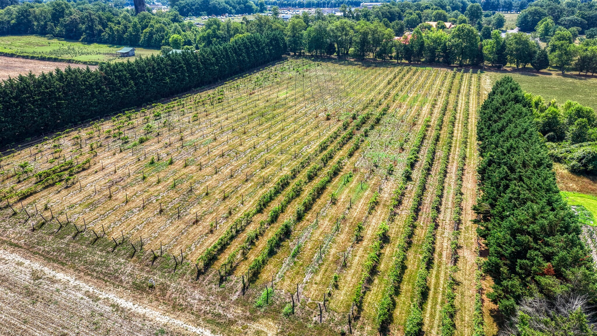 1683 Peach Basket Rd, Felton, DE for Sale