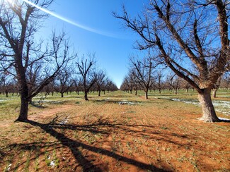 Seminole, TX Agricultural - 0 County Road 319