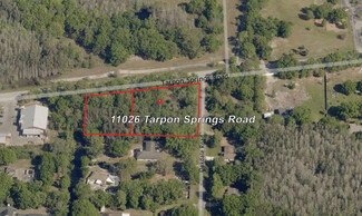 Odessa, FL Commercial - 11026 Tarpon Springs Rd