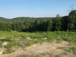 Dallas, GA Commercial Land - 1428 Bobo Rd