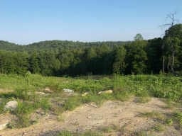 Dallas, GA Commercial - 1428 Bobo Rd