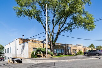 Carle Place, NY Office, Flex - 200 Stonehinge Ln