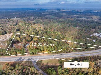 Nicholson, GA Commercial Land - 97 Cedar Station Dr - US Hwy 441 S and Memorial Drive