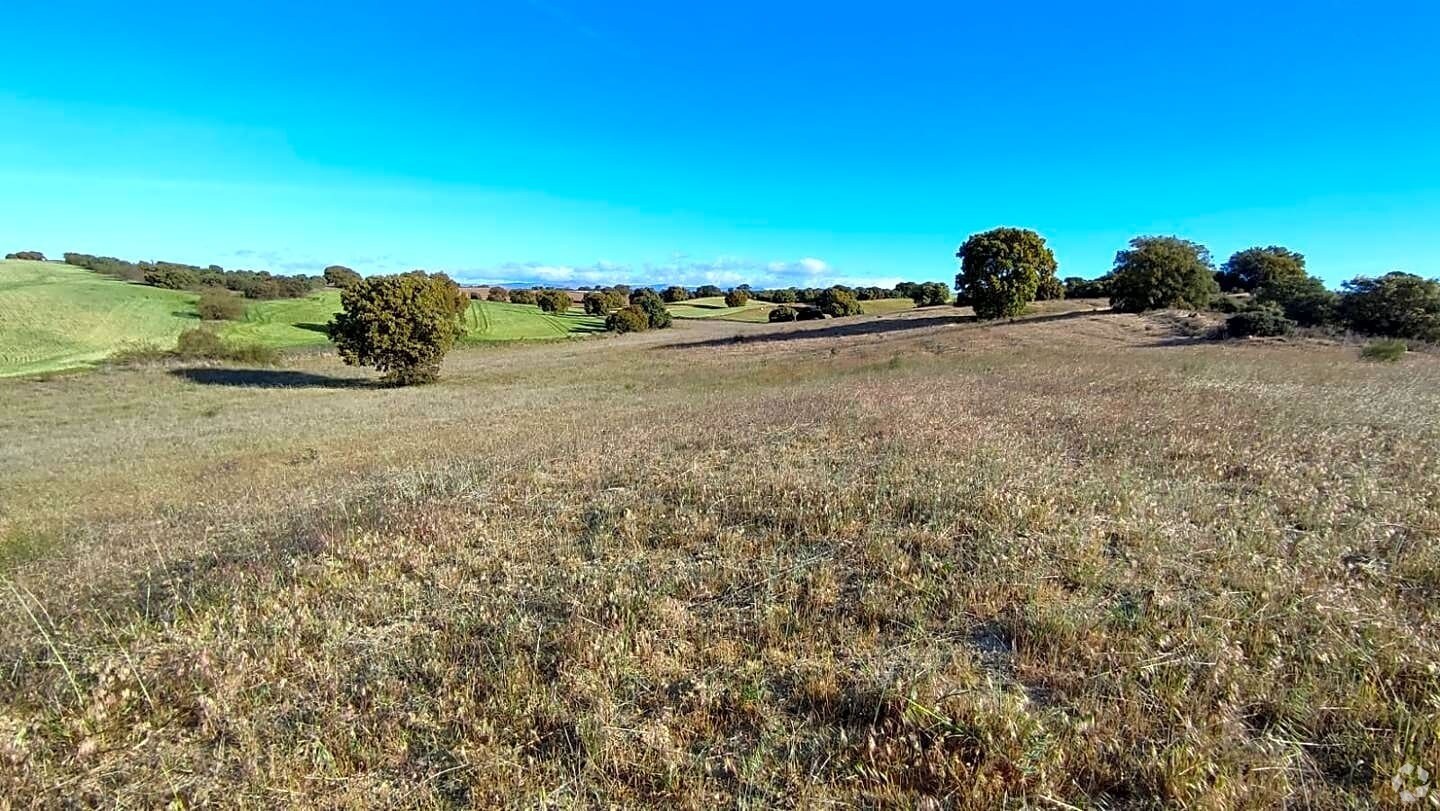 , Villamantilla, MAD for Sale