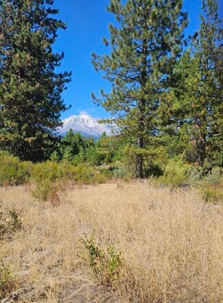 Mccloud, CA Residential Land - 9 Parkside Court