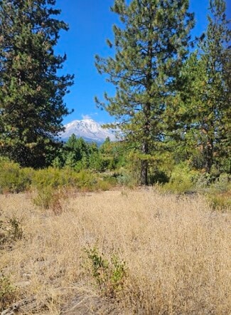 Mccloud, CA Residential - 9 Parkside Court