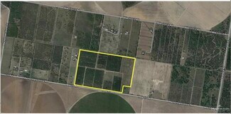Edinburg, TX Commercial Land - 0 Mile 17 Rd