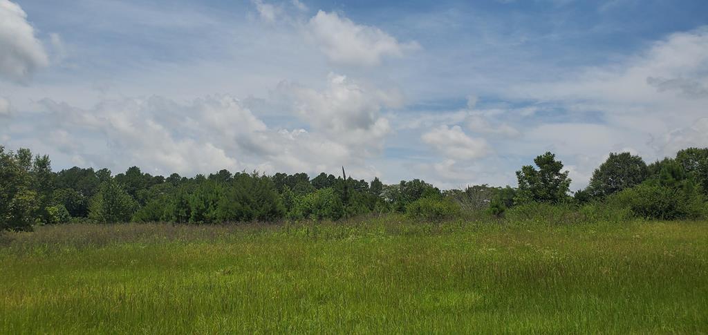 , Dothan, AL for Sale