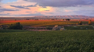 Prosser, WA Agricultural - 125498 W Mccreadie Rd