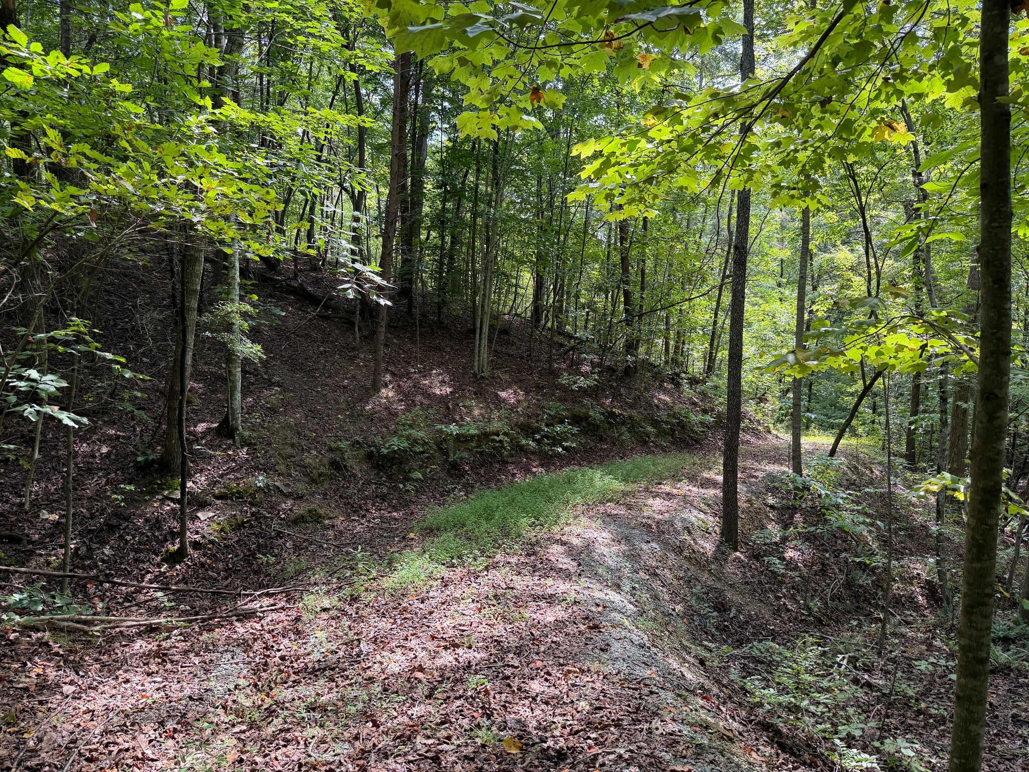 Fuller Mountain Rd, Fairmount, GA for Sale