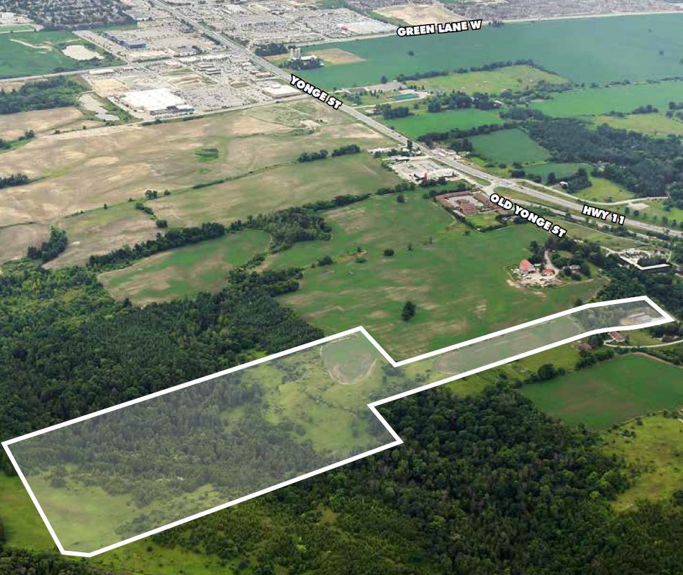 18823 Old Yonge St, East Gwillimbury, ON for Sale