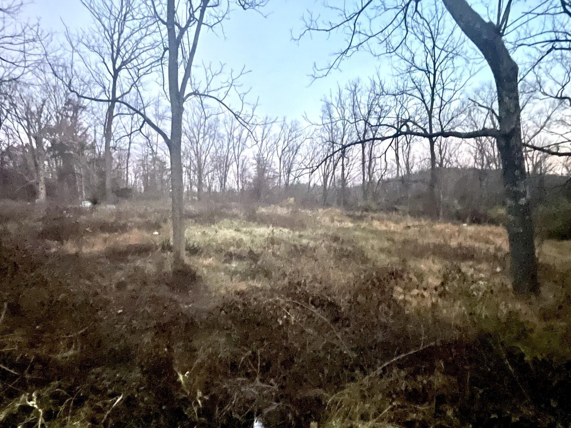 13022 Route 9W, West Coxsackie, NY for Sale