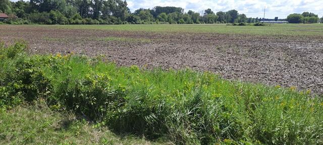 215 Spurr Rd, New London, WI for Sale