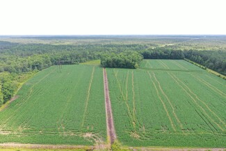 Watha, NC Agricultural - TBD Pelham Rd