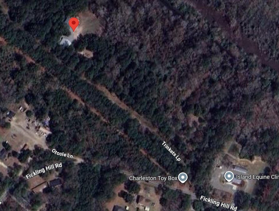 950 Trinkets Loop, Johns Island, SC for Rent