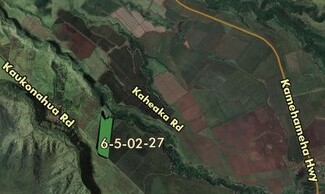 Waialua, HI Agricultural Land - Kaukonahua Rd