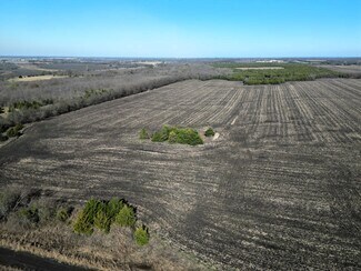 Ladonia, TX Commercial Land - 99 ac County Road 4914