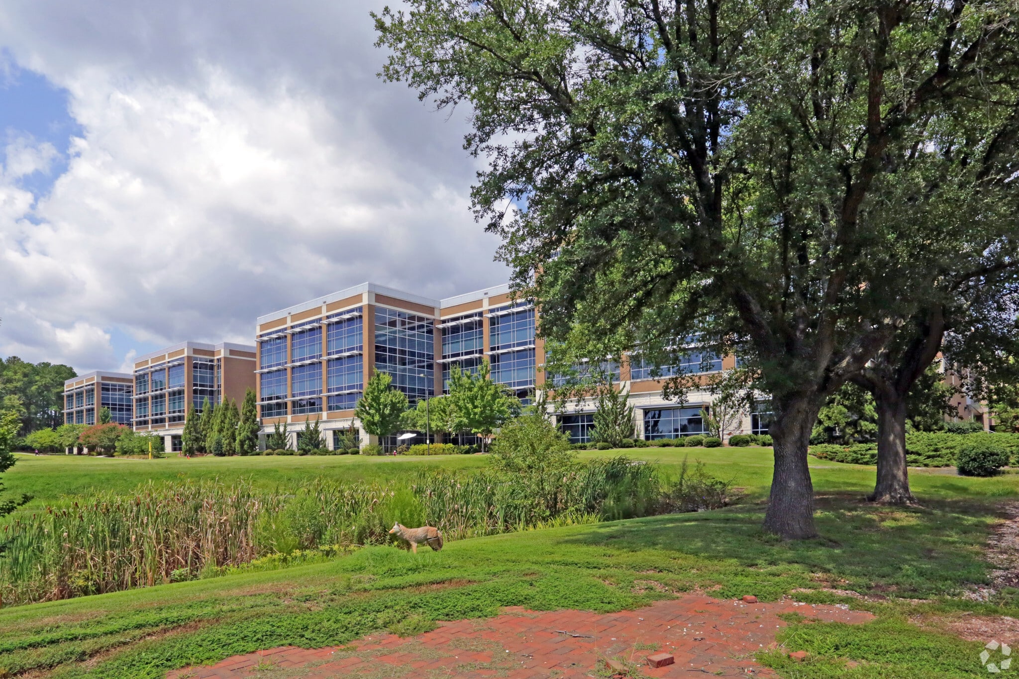3040 Cornwallis Rd, Research Triangle Park, NC for Rent