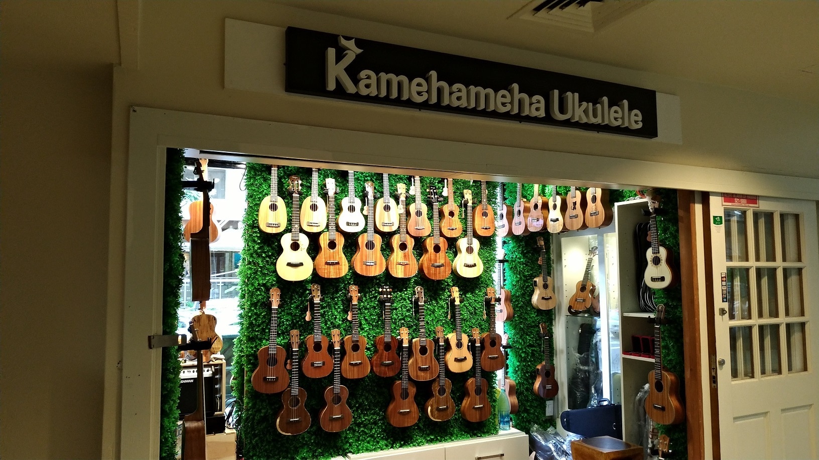 205 Lewers St, Honolulu, HI for Rent