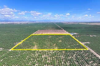 Madera, CA Agricultural - East of Road 26